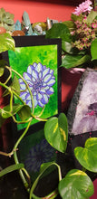 Load image into Gallery viewer, Lime succulent flower Australian floral tattoo inspired artwork