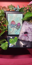 Load image into Gallery viewer, Protea babies flower Australian floral tattoo inspired artwork