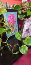 Load image into Gallery viewer, Pink protea flower Australian floral tattoo inspired artwork
