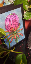 Load image into Gallery viewer, Pink protea flower Australian floral tattoo inspired artwork