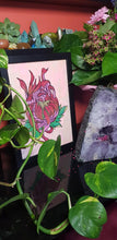 Load image into Gallery viewer, Red crysanthemum flower Australian floral tattoo inspired artwork