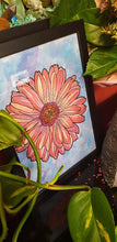 Load image into Gallery viewer, Red & pink gerbra flower Australian floral tattoo inspired artwork