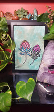Load image into Gallery viewer, Protea babies flower Australian floral tattoo inspired artwork