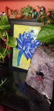Load image into Gallery viewer, Water lotus blue flower Australian floral tattoo inspired artwork