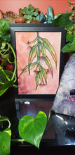Load image into Gallery viewer, Flowering gum flower Australian floral tattoo inspired artwork