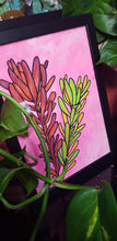 Load image into Gallery viewer, leucadendron flower Australian floral tattoo inspired artwork