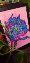 Load image into Gallery viewer, Pink & blue crysanthemum flower Australian floral tattoo inspired artwork