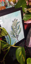 Load image into Gallery viewer, Green wattle flower Australian floral tattoo inspired artwork