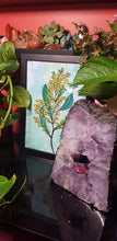 Load image into Gallery viewer, Green wattle flower Australian floral tattoo inspired artwork