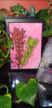Load image into Gallery viewer, leucadendron flower Australian floral tattoo inspired artwork