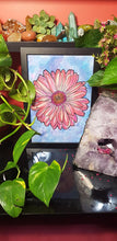 Load image into Gallery viewer, Red & pink gerbra flower Australian floral tattoo inspired artwork