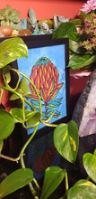Load image into Gallery viewer, Orange &amp; red protea flower Australian floral tattoo inspired artwork
