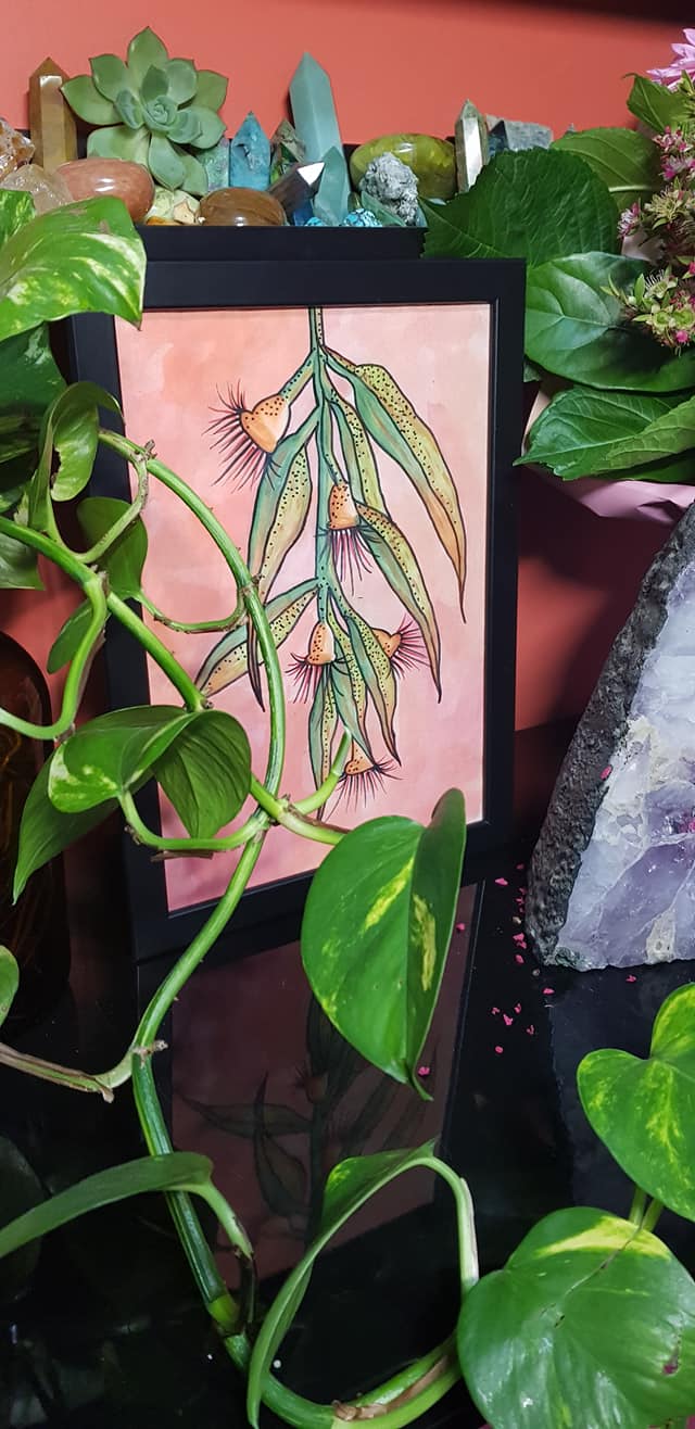 Flowering gum flower Australian floral tattoo inspired artwork