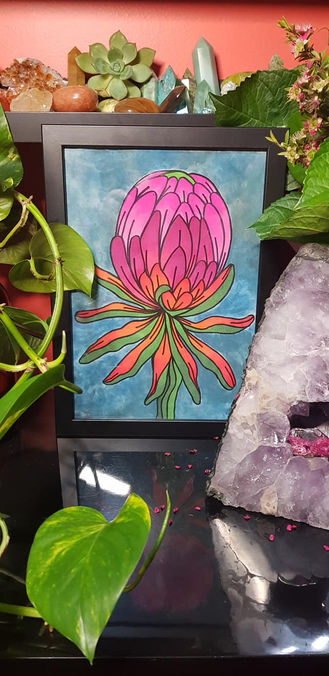 Pink protea flower Australian floral tattoo inspired artwork
