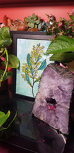 Load image into Gallery viewer, Green wattle flower Australian floral tattoo inspired artwork

