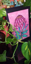 Load image into Gallery viewer, Red protea flower Australian floral tattoo inspired artwork
