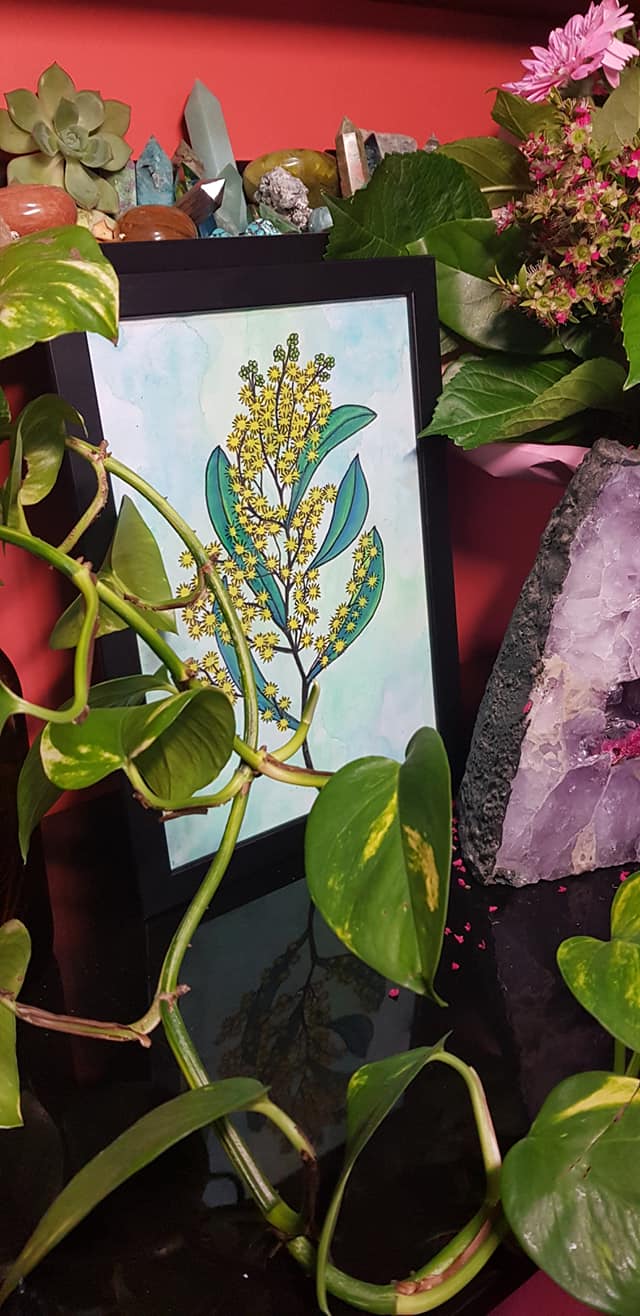 Green wattle flower Australian floral tattoo inspired artwork