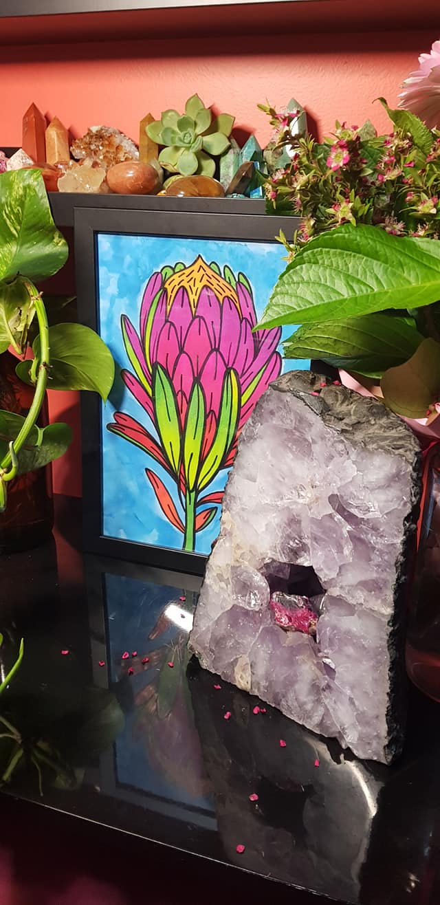 Magenta protea Australian floral tattoo inspired artwork