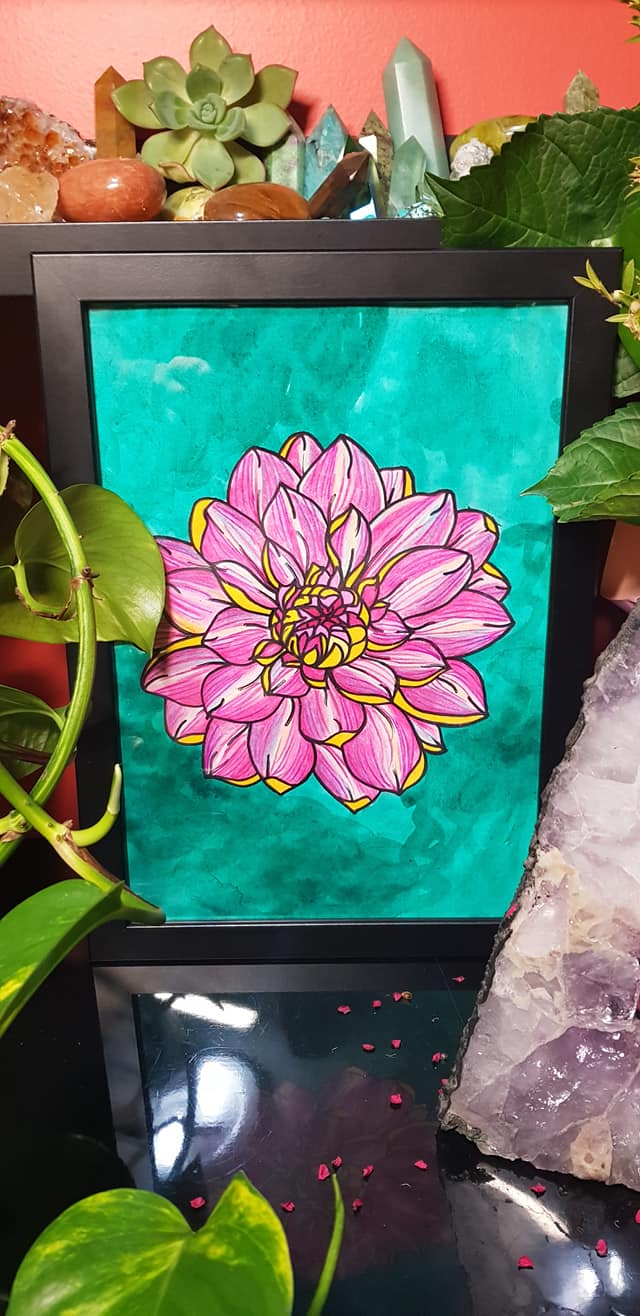Magenta dahlia flower Australian floral tattoo inspired artwork