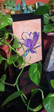 Load image into Gallery viewer, Purple magnolia flower Australian floral tattoo inspired artwork
