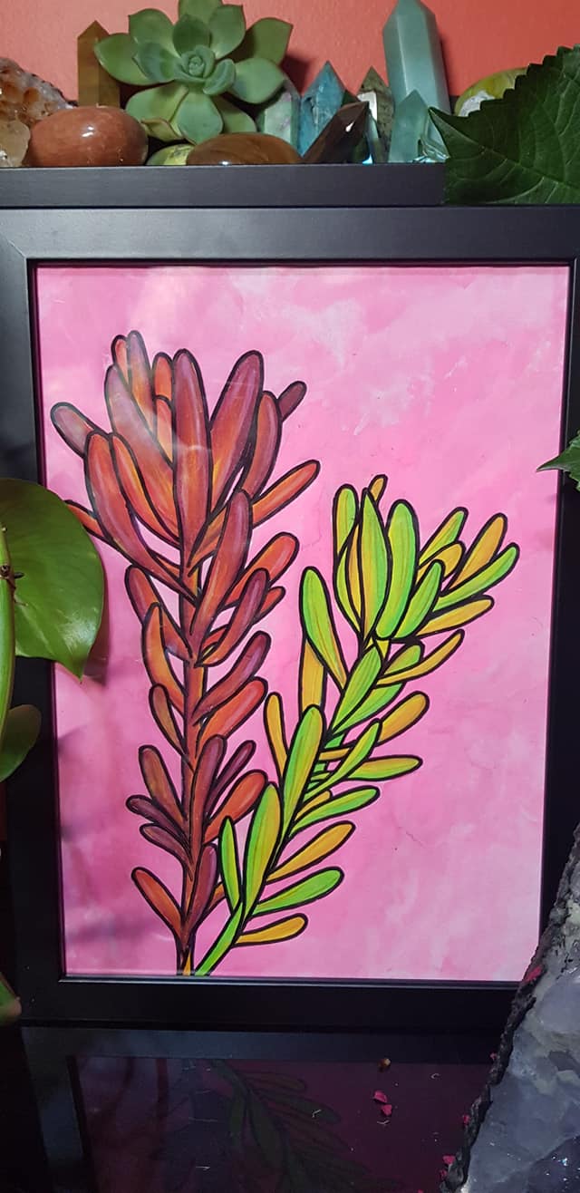 leucadendron flower Australian floral tattoo inspired artwork